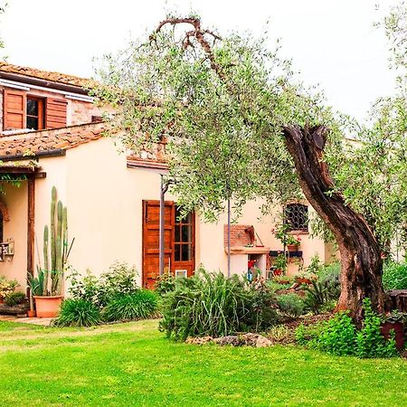 I Glicini Appartamento Castagneto Carducci Exterior photo