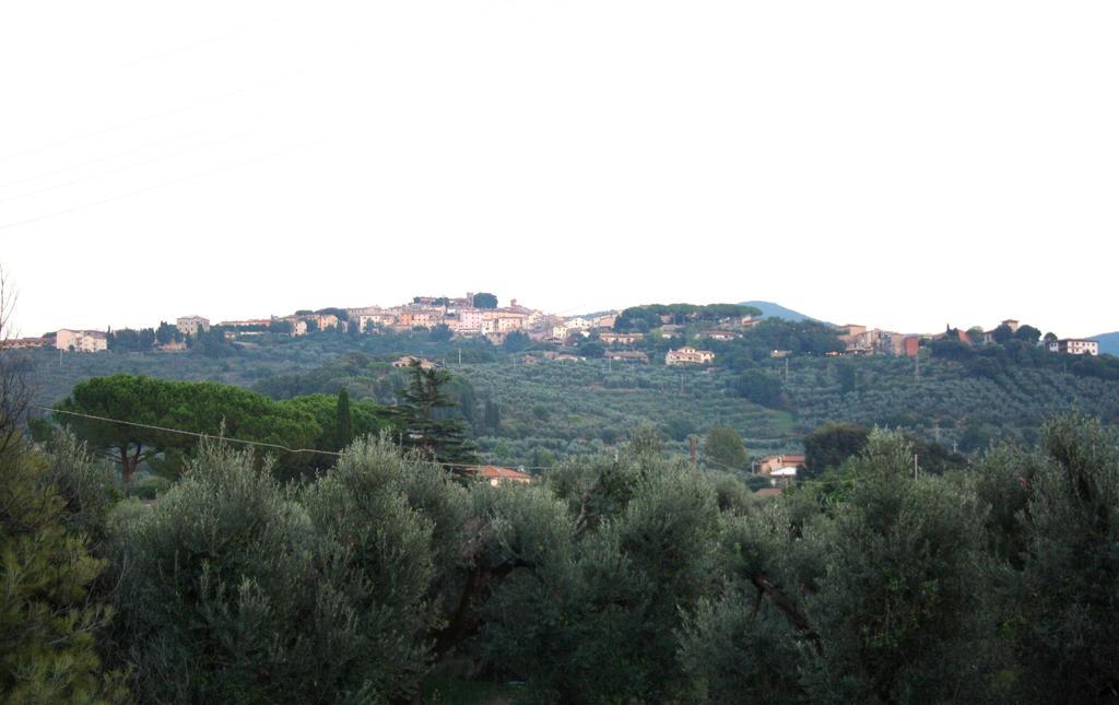 I Glicini Appartamento Castagneto Carducci Exterior photo