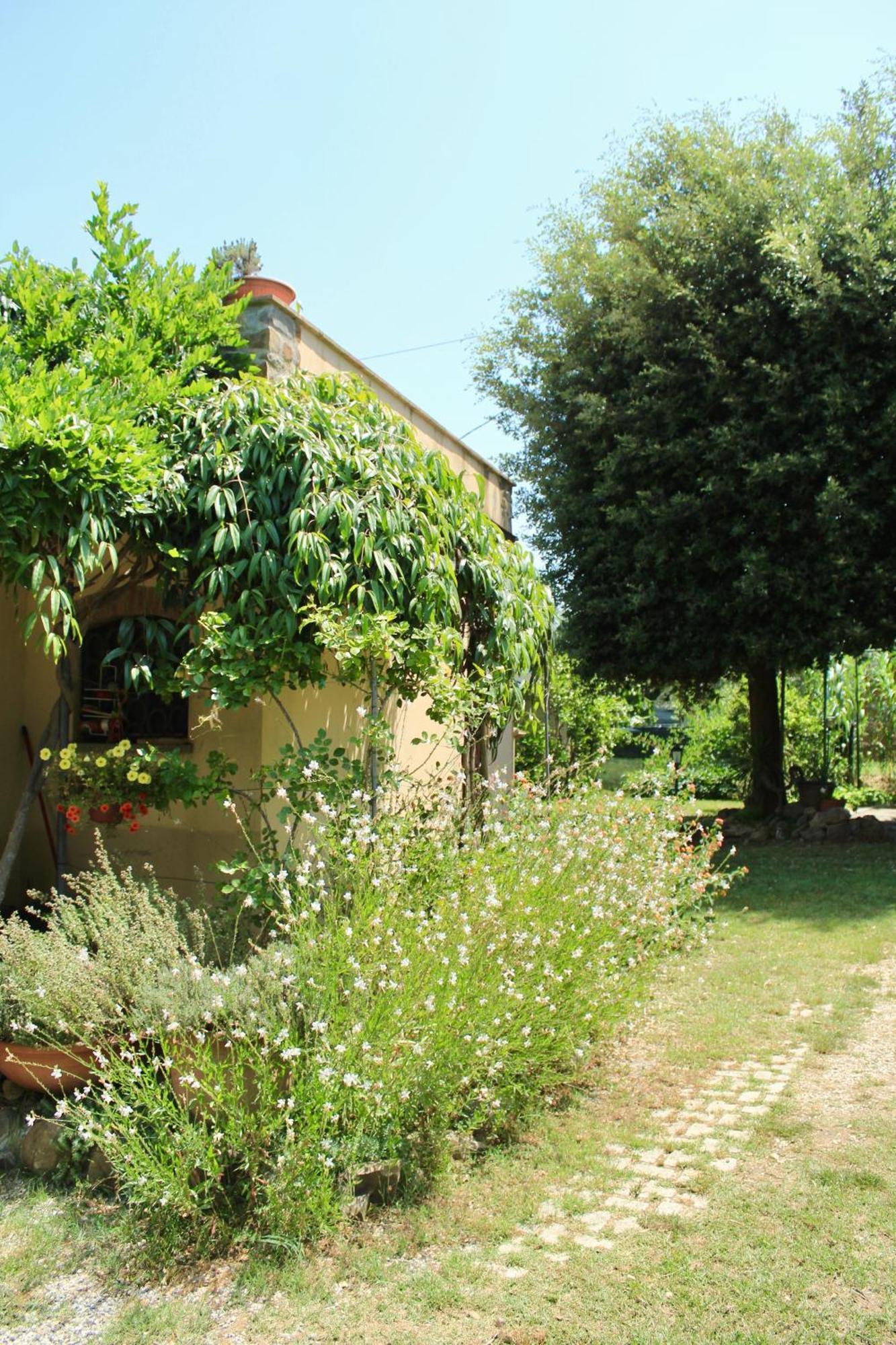 I Glicini Appartamento Castagneto Carducci Exterior photo
