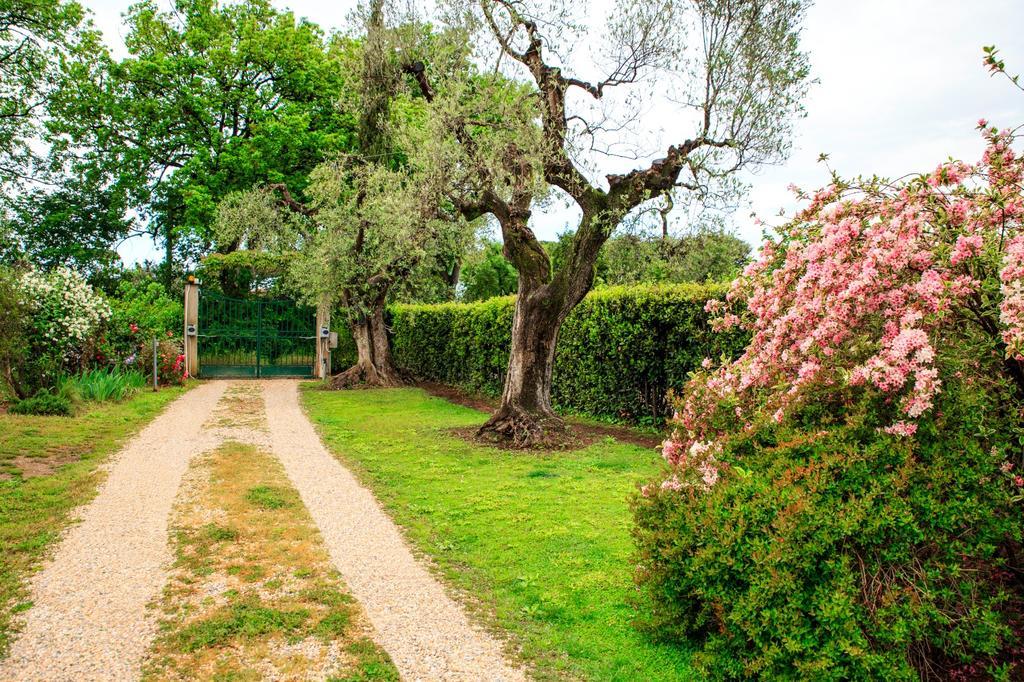 I Glicini Appartamento Castagneto Carducci Exterior photo